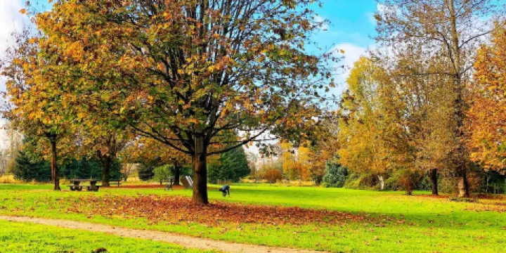 Derby Reach Regional Park