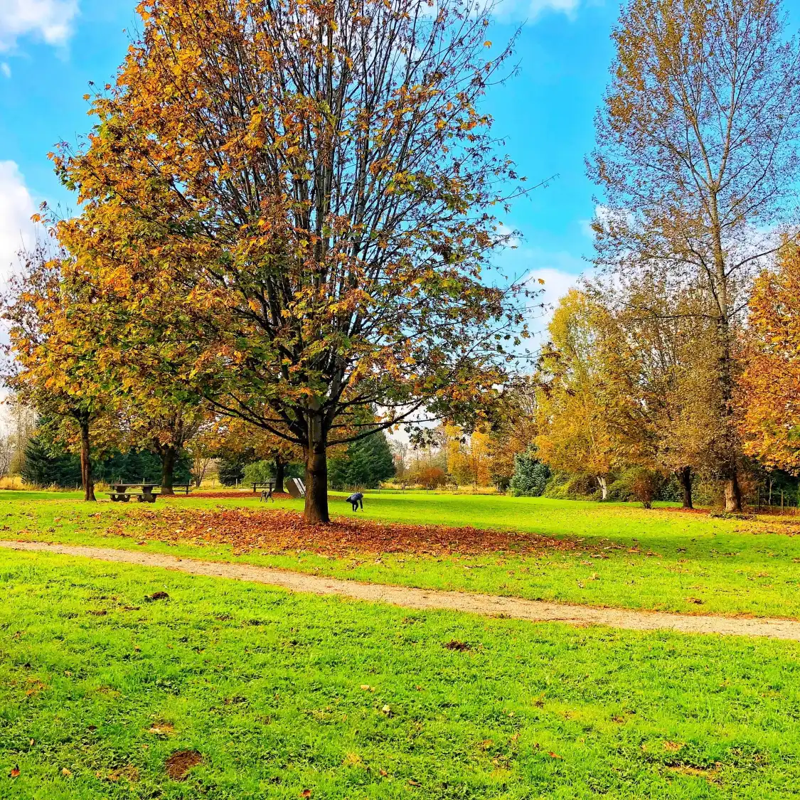 Hotels near Derby Reach Regional Park