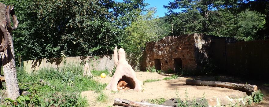 Eifel Zoo
