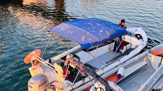 ODYSSEY Traditional Boat Tours - Ria Formosa, Olhão