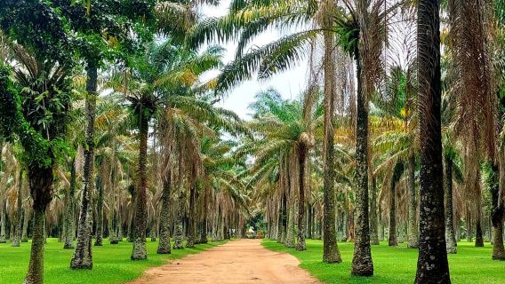 Botanical Garden