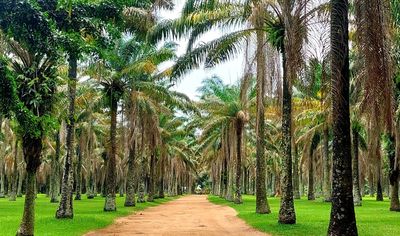 Botanical Garden