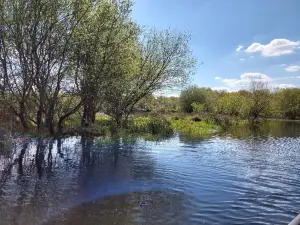 Parco Naturale Regionale di Brière