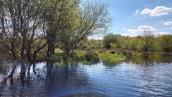 Parc naturel régional de Brière