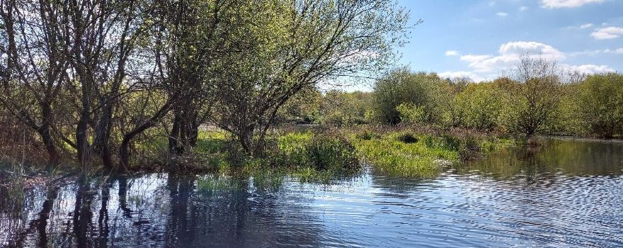 Parc naturel régional de Brière