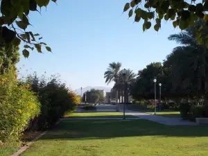 Al Jahli Park