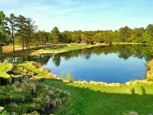 Tobacco Road Golf Club