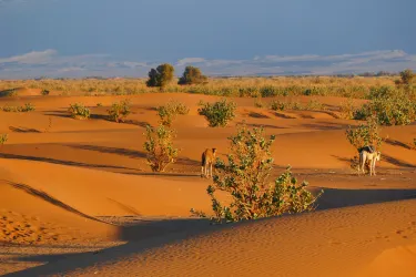 Zagora Province