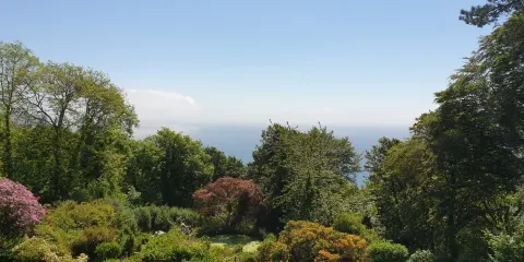 The Monkey Sanctuary