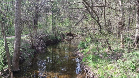 Ashburn Park