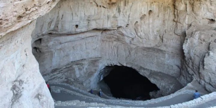 Bat Flight Program im Carlsbad Cavern National Park