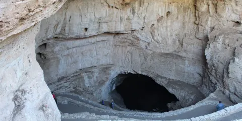 Bat Flight Program im Carlsbad Cavern National Park
