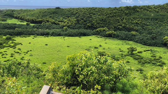 Парк штата Уэйлуа Ривер