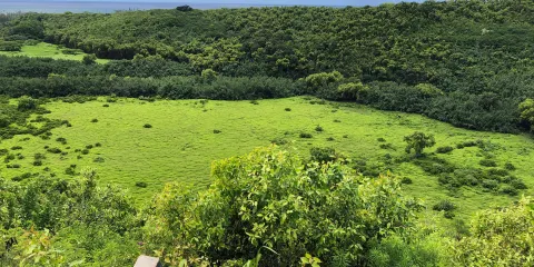 威魯亞河州立公園