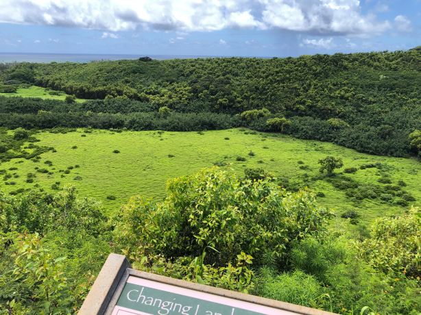 Wailua River State Park