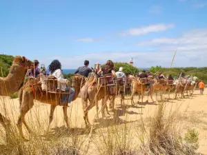 Aires Africanos