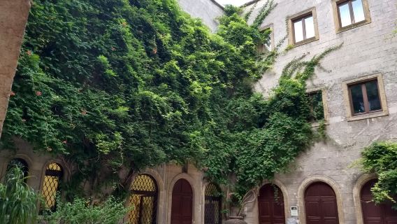 Provincial Archaeological Museum "Francesco Ribezzo"