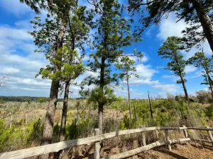 Buescher State Park
