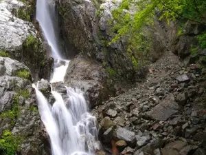 Roaring Brook Falls
