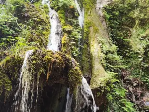 Oasi Valle della Caccia