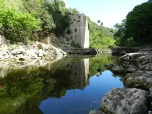 Gravina di Laterza