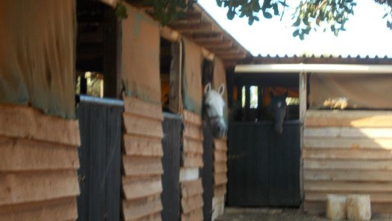 Quersoneso