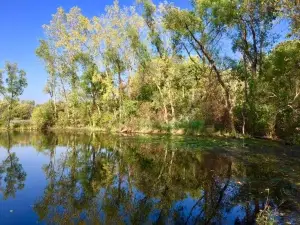Holiday Beach Conservation Area