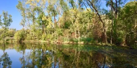 Holiday Beach Conservation Area
