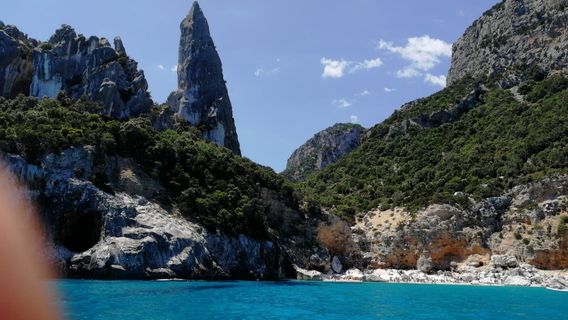 Flamar Vacanze