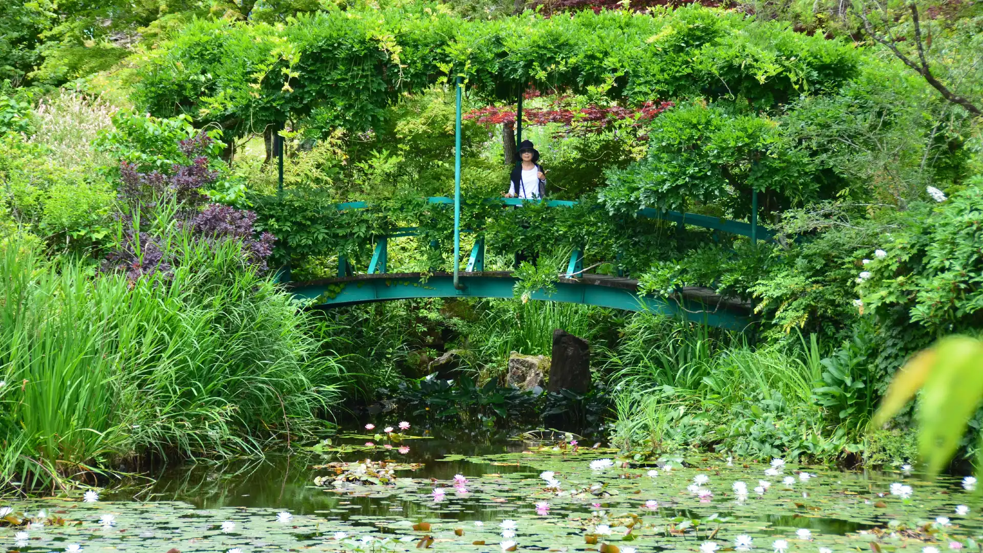 Hotel in zona Garden Museum Hiei