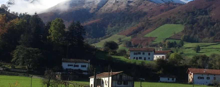 Arteka