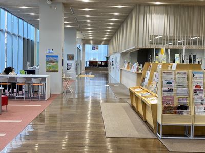 Area Nakaichi
