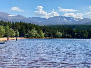 Glenmore Forest Park