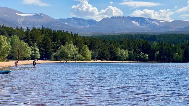 Glenmore Forest Park