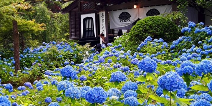 北浦山 雲昌寺