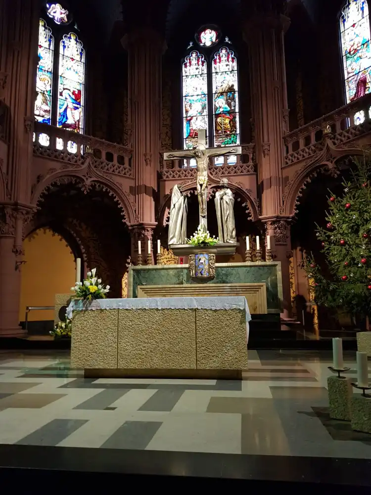 Basilique Notre-Dame de l'Assomption附近的飯店