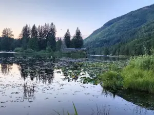 Silver Lake Park