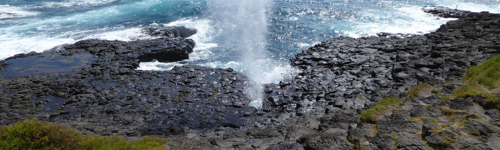 KiamaTour giornalieri