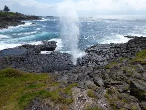 Little Blowhole