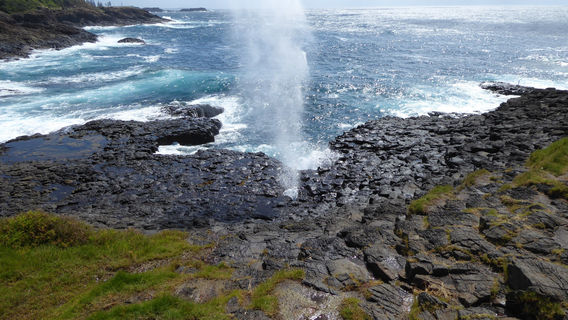 Little Blowhole