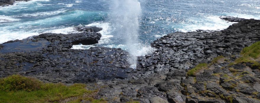 Little Blowhole