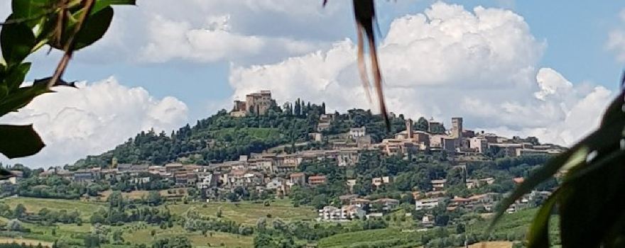 Fattoria Paradiso