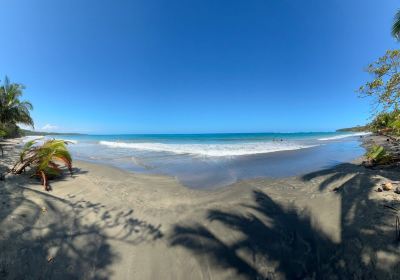 Manzanillo