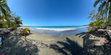 Manzanillo