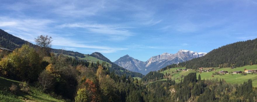 Alpbachtaler Lauser-Sauser