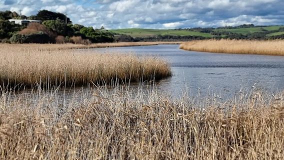 Princetown Wetlands Boardwalk