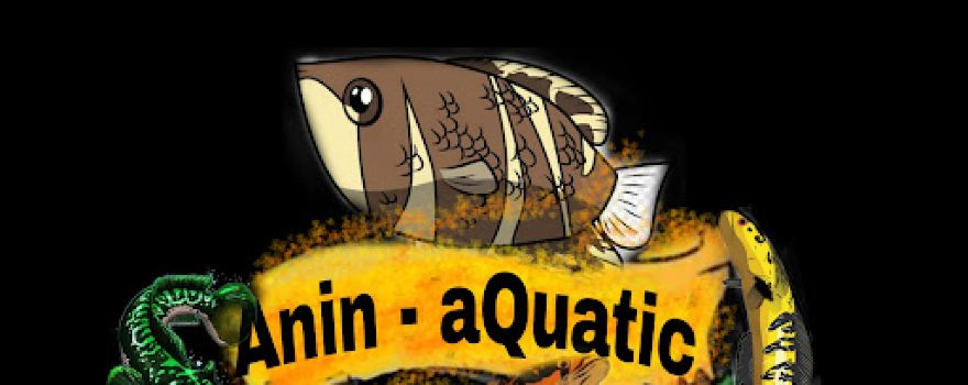 ANIN AQUATIC