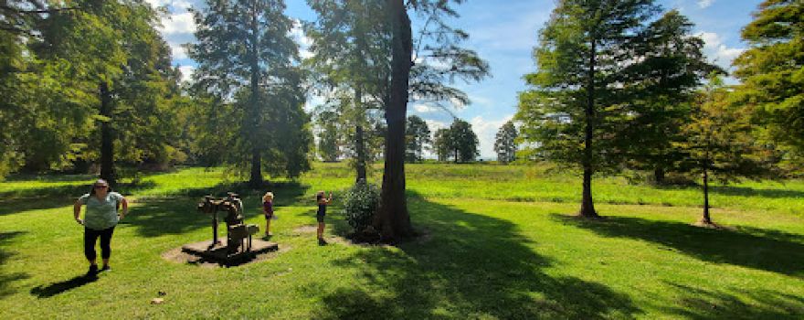 Pettigrew State Park Campground