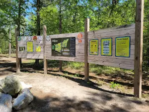 Diavolo at New Hope Disc Golf