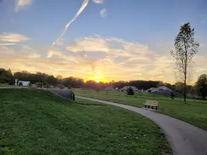 Bark Park